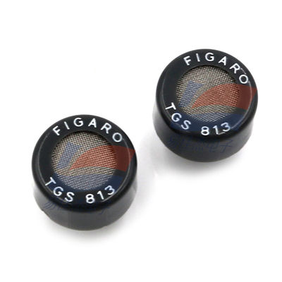 TGS813 Semiconductor Gas Sensor Voor Huishoudelijke Gaslekdetectie Draagbare Gasdetectie