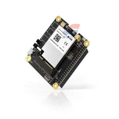 YJJ RAK5146 PiHAT-concentratormodule geschikt voor LoRaWAN voor sensorgegevensverzameling