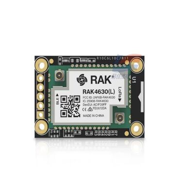 YJJ RAK4631 Nordic NRF52840 BLE Core-module ondersteunt LoRa SX1262 voor industriële monitoring met laag vermogen
