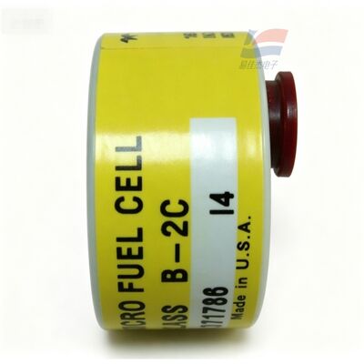 YJJ C06689-B2C Klasse B-2C 0-10ppm Trace-zuurstofsensor voor elektronische productie van halfgeleiders